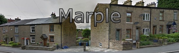 Marple
